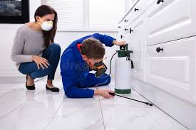 Best Fumigation Services  in Hamilton, TX